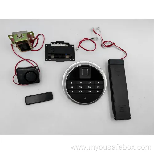 Integrated Biometric Safe Lock System